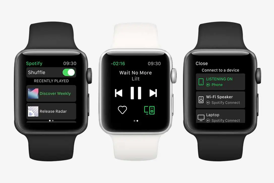 Apple Watch Spotify App Stuck