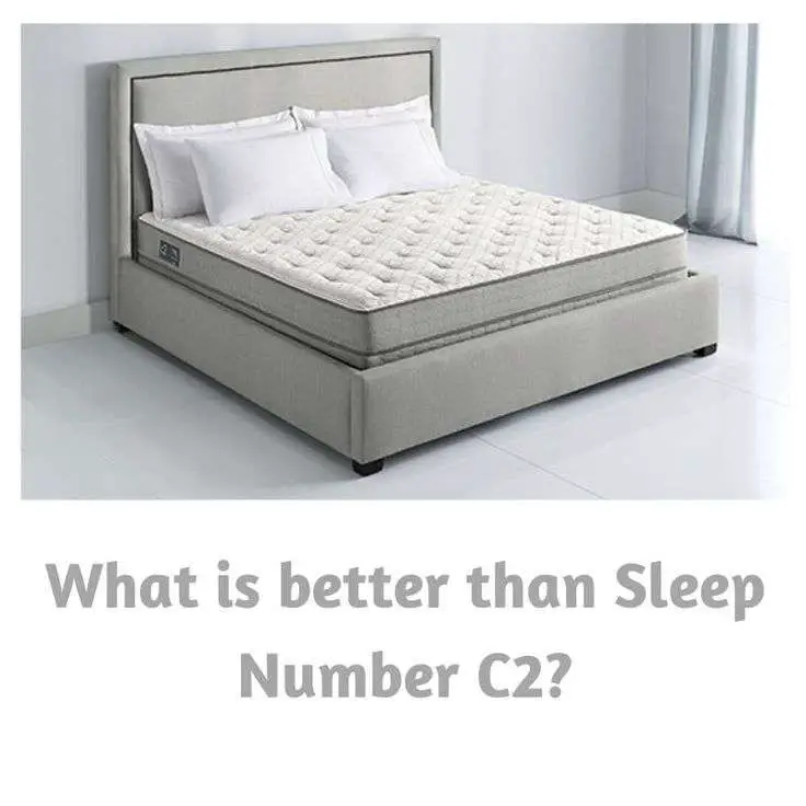 Sleep Number c2 vs c4