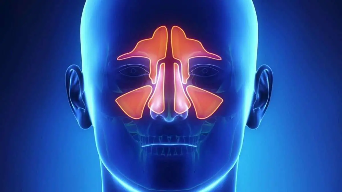 The painful symptoms associated with chronic #sinusitis can be ...