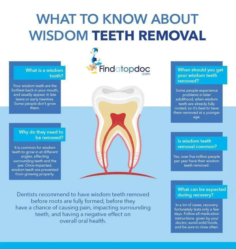 Wisdom Teeth Removal [Infographic]